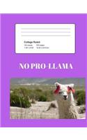 No Pro-Llama