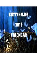 Butterflies 2019 Calendar