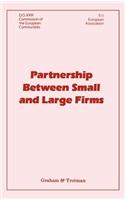 Partnership Between Small and Large Firms