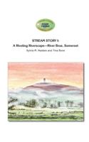 Stream Story I