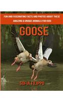 Goose