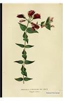 Botanical Print Journal