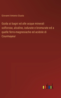 Guida ai bagni ed alle acque minerali solforose, alcaline, iodurate e bromurate ed a quelle ferro-magnesiache ed acidole di Courmayeur