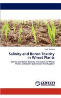 Salinity and Boron Toxicity in Wheat Plants