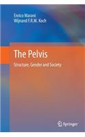 Pelvis