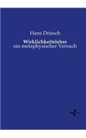 Wirklichkeitslehre: ein metaphysischer Versuch(German)