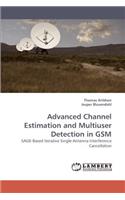 Advanced Channel Estimation and Multiuser Detection in GSM