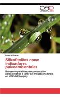 Silicofitolitos como indicadores paleoambientales