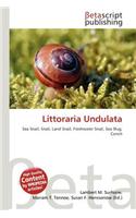 Littoraria Undulata: (English)