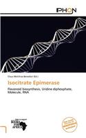 Isocitrate Epimerase: (English)