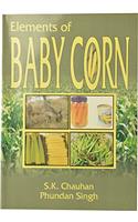 Elements of Baby Corn