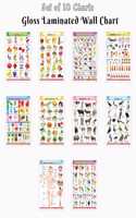 Kids Learning Chart English-Hindi:Alphabet, Fruits, Vegetables, Animals, Birds, Body Parts,Numbers,Hindi Varnmala,Shapes &Colours and Flowersâ€“Gloss Lamination (Pack of 10)-Educational posters for kids