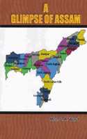 A GLIMPSE OF ASSAM