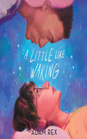 Little Like Waking