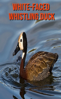 White-Faced Whistling Duck