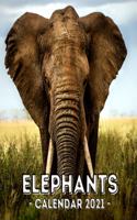 Elephants: 2021 Calendar Book, Cute Gift Idea For Elephant Lovers Men And Women