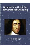 Spinoza in het licht van bewustzijnsontwikkeling