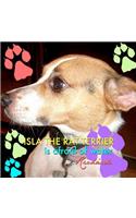 Isla the Rat Terrier Is Afraid of Water