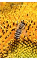 Tournesol Abeille Carnet de notes
