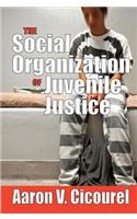 The Social Organization of Juvenile Justice