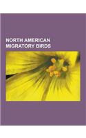 North American Migratory Birds: American Robin, American White Pelican, Bell's Vireo, Blue-Gray Gnatcatcher, Brown Creeper, Cave Swallow, Clay-Colored