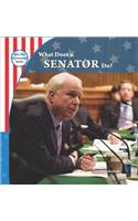 What Does a Senator Do?