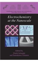 Electrochemistry at the Nanoscale