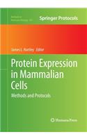 Protein Expression in Mammalian Cells