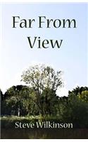 Far From View