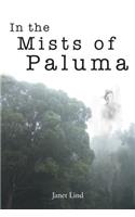 In the Mists of Paluma