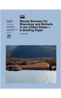 Woody Biomass for Bioenergy and Biofuels in the United States- A Briefing Paper