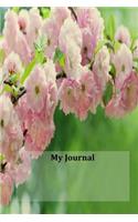 My Journal