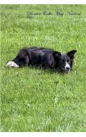 Border Collie May Notebook Border Collie Record, Log, Diary, Special Memories, To Do List, Academic Notepad, Scrapbook & More
