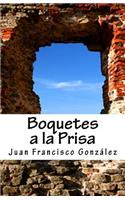 Boquetes a la Prisa: Poemas Terrenales