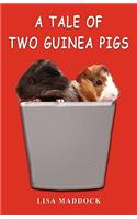 A Tale of Two Guinea Pigs