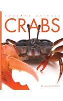 Crabs