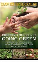 Prepping Guide for Going Green: Step by Step Self Sufficiency Guide(English)