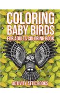 Coloring Baby Birds For Adults Coloring Book