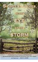 In the Eye of the Storm: Journey to Texas, 1845
