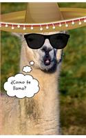 Como Te Lllama: Journal(3 Llama)