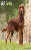 Irish Setter Calendar 2018