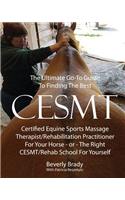 Ultimate Go-To Guide To Finding The Best CESMT