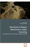 Riverbank Collapse Mechanism under Scouring