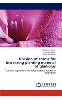 Division of Corms for Increasing Planting Material of Gladiolus
