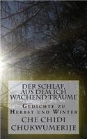 Schlaf, aus dem ich wachend träume