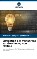 Simulation des Verfahrens zur Gewinnung von Maltina