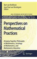 Perspectives on Mathematical Practices