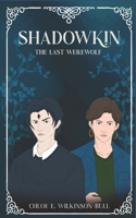 Shadowkin
