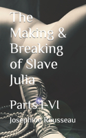 The Making & Breaking of Slave Julia: Parts I-VI(3 Mistress)