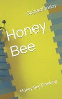 Honey Bee: Honey Bee Drawing